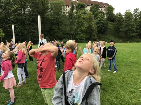 IMG 0118