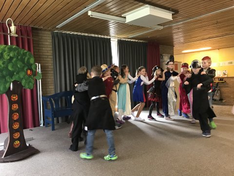 IMG 1309