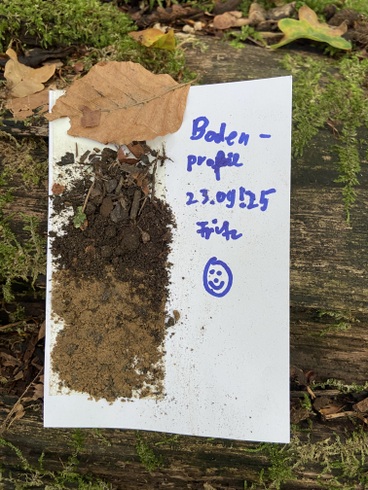 4b 2